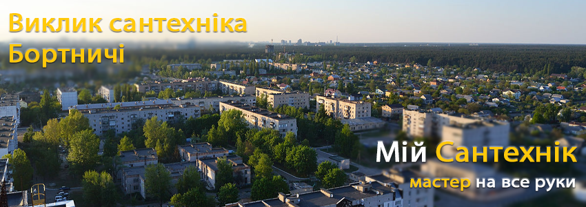 Виклик сантехніка в Бортничах
