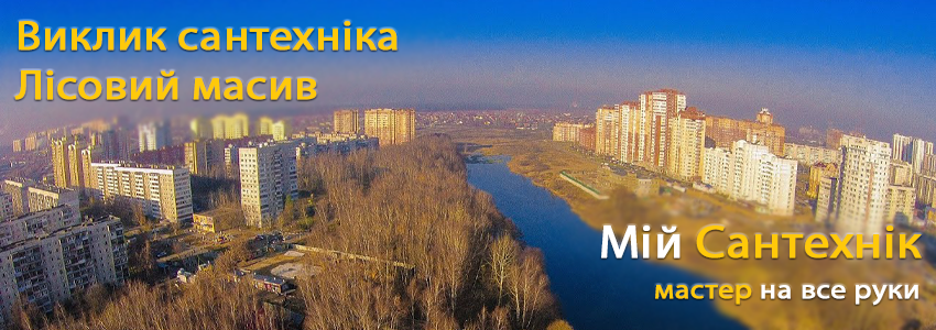 Викликати сантехніка Лісова, Лісовий Масив